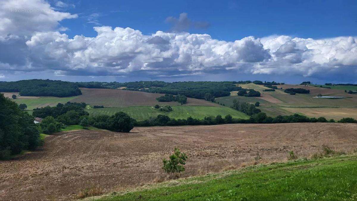 Terrain à BEAUMONT-DE-LOMAGNE