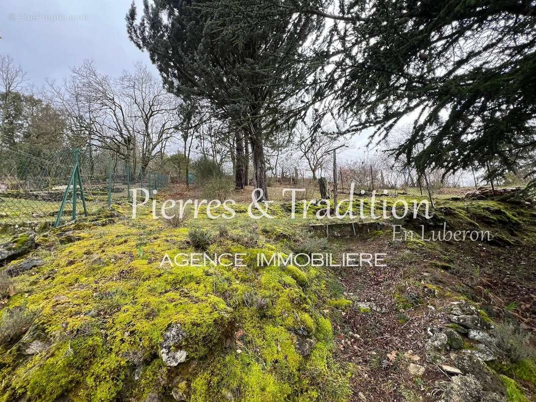 Maison à CERESTE