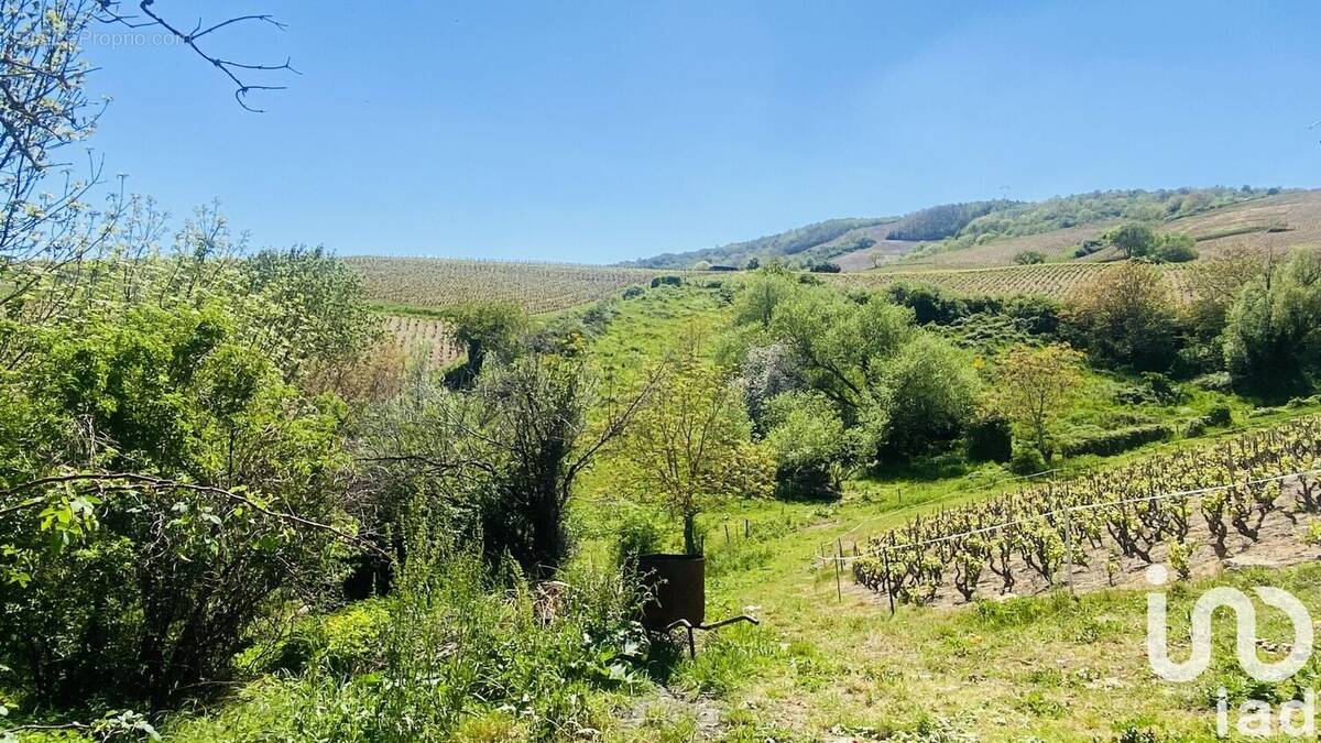 Photo 1 - Maison à QUINCIE-EN-BEAUJOLAIS