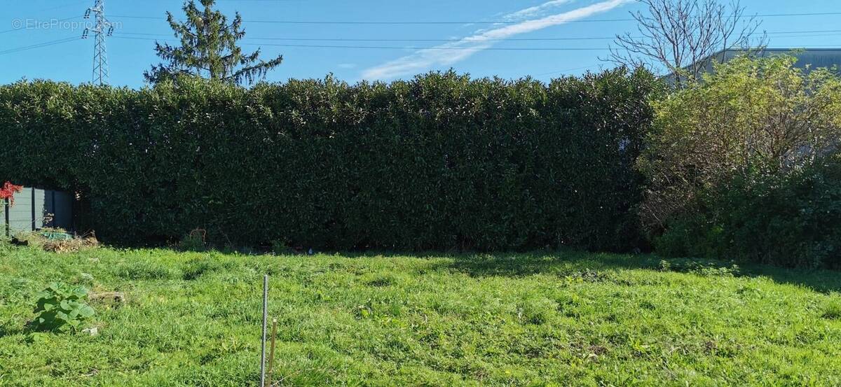 Terrain à CUSSET