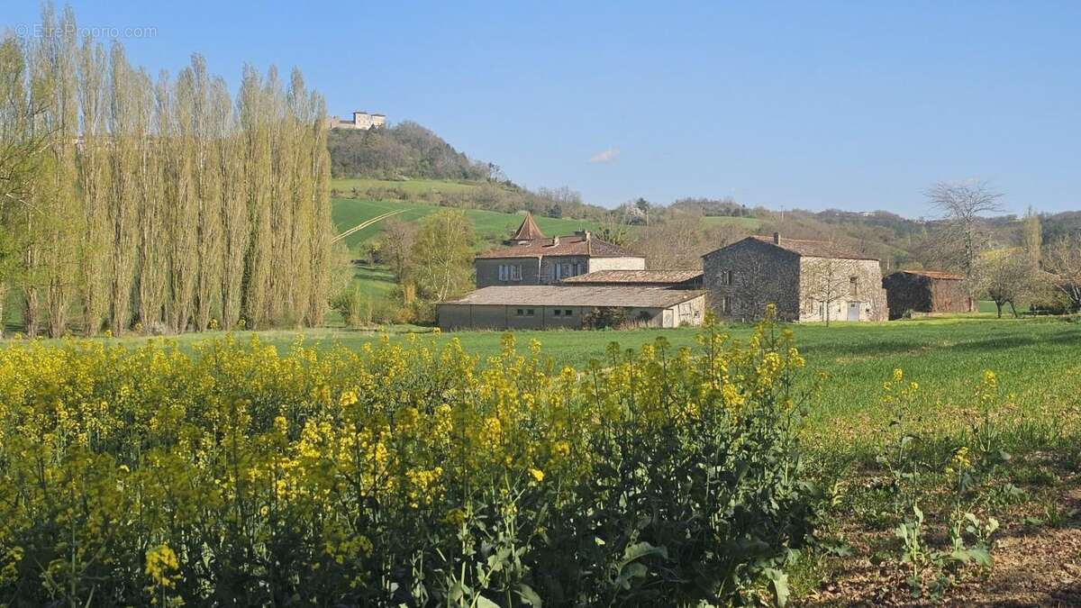 Maison à CASTELNAU-DE-MONTMIRAL