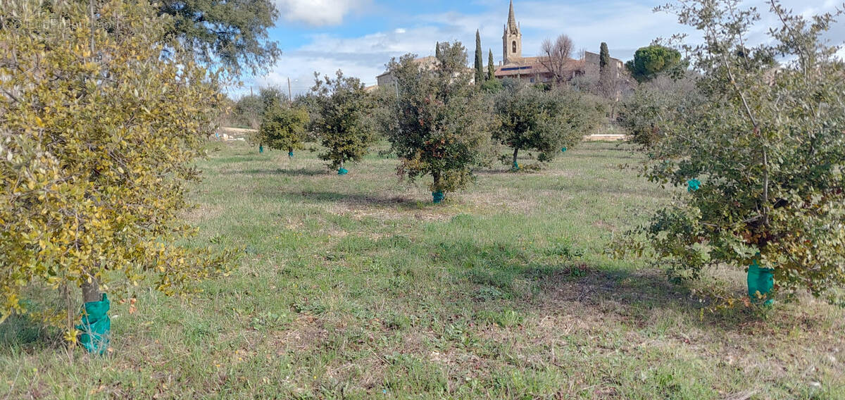 Terrain à ISSIRAC