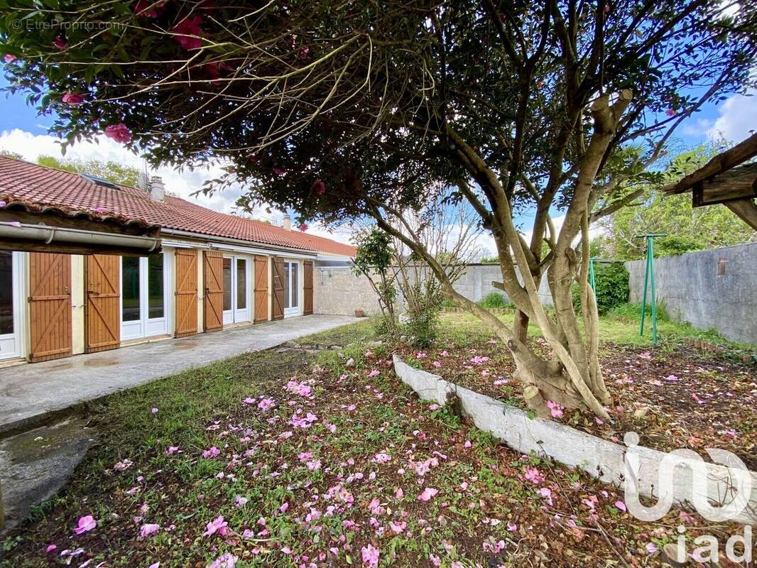Photo 1 - Maison à SAINT-MEDARD-EN-JALLES