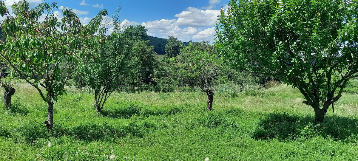 Terrain à RIEUMES