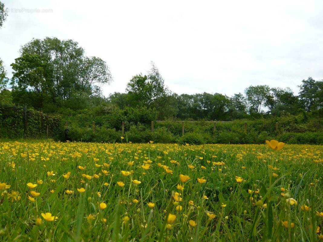 Terrain à LANTON