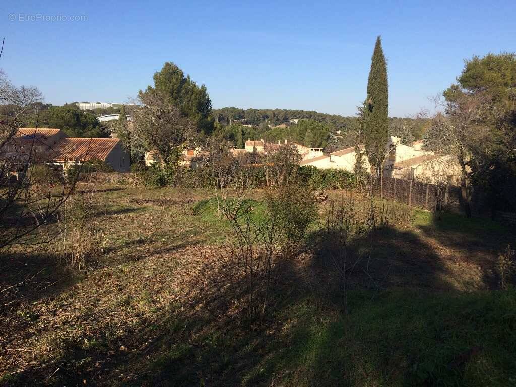 Terrain à MONTPELLIER