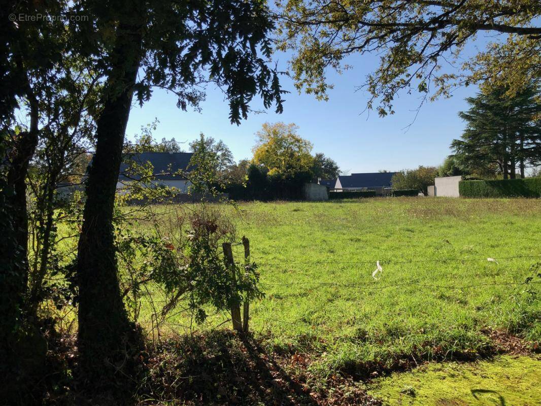 Terrain à LA CHAPELLE-SUR-ERDRE
