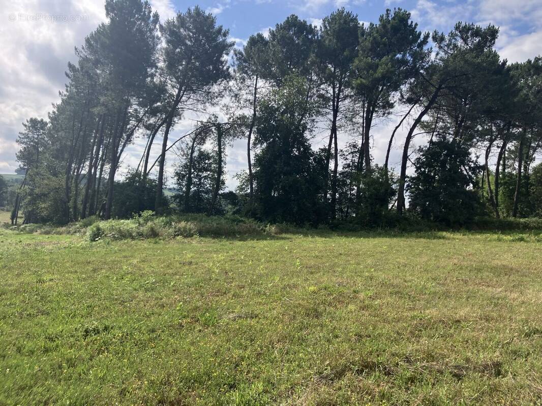 Terrain à CASTELJALOUX