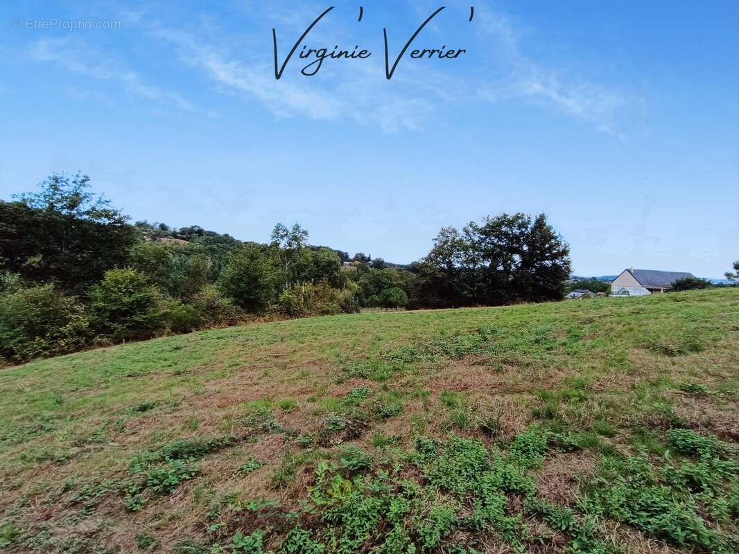 Terrain à SAINT-CYPRIEN