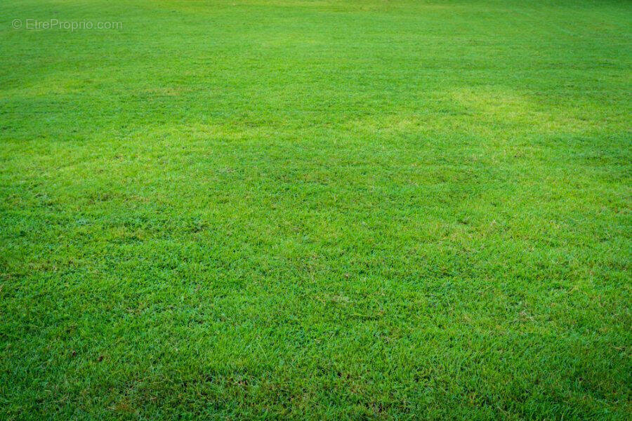 Terrain à MERIGNAC