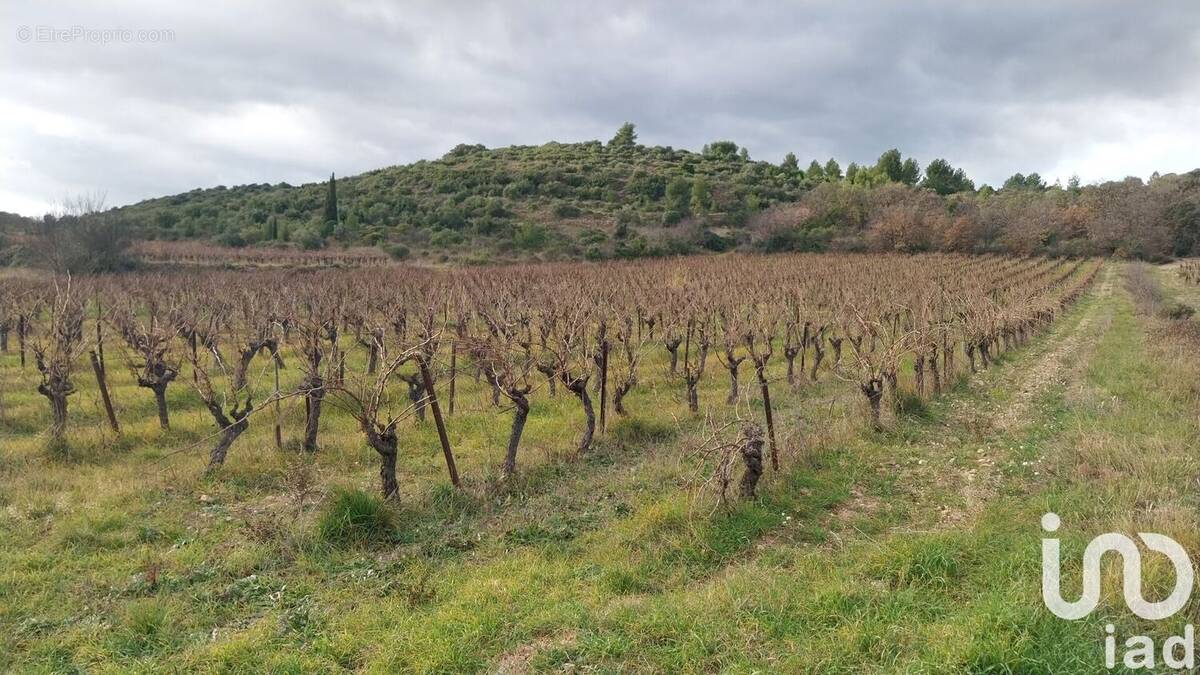 Photo 1 - Terrain à FONTES