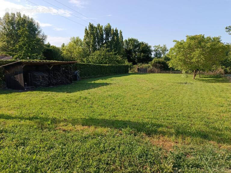 Terrain à BERSON