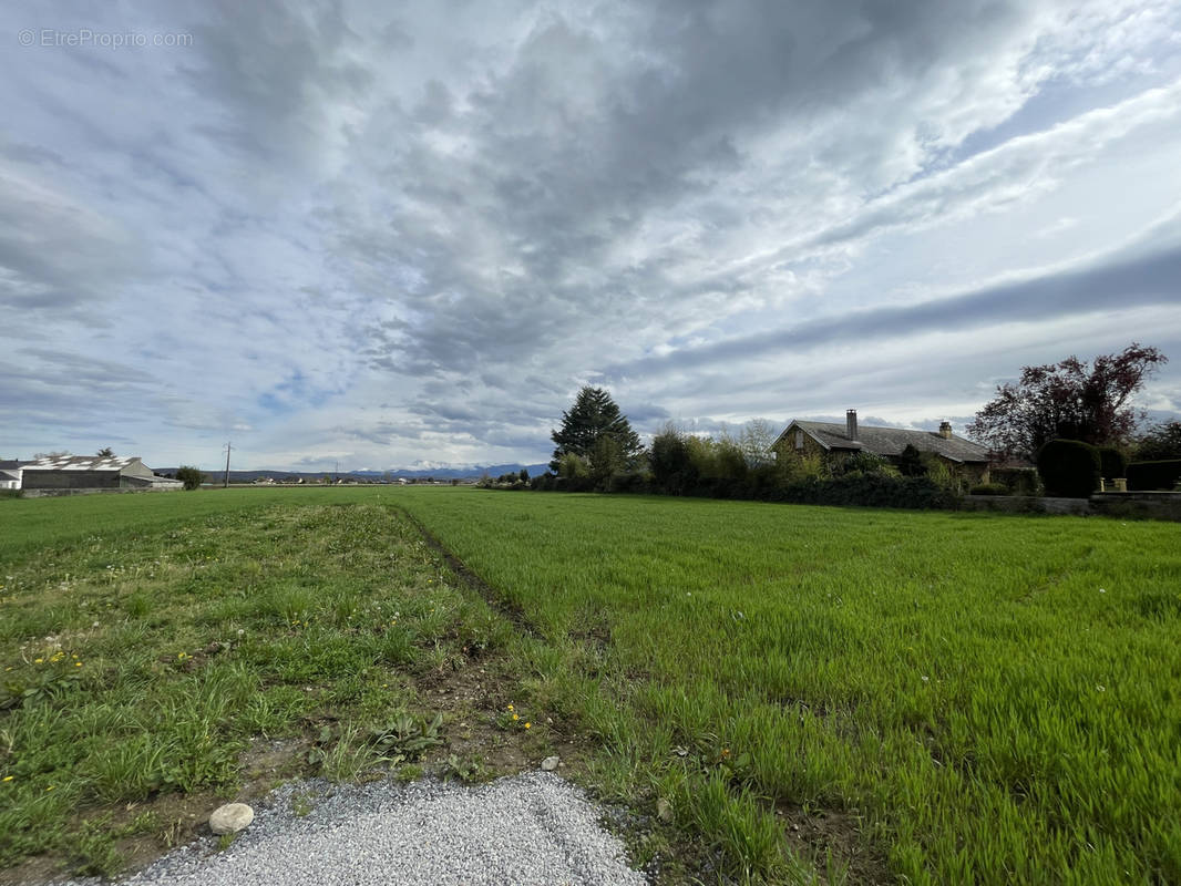 Terrain à BORDES