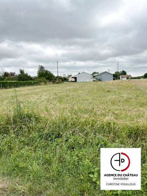 Terrain à SAINT-BENOIT-SUR-LOIRE