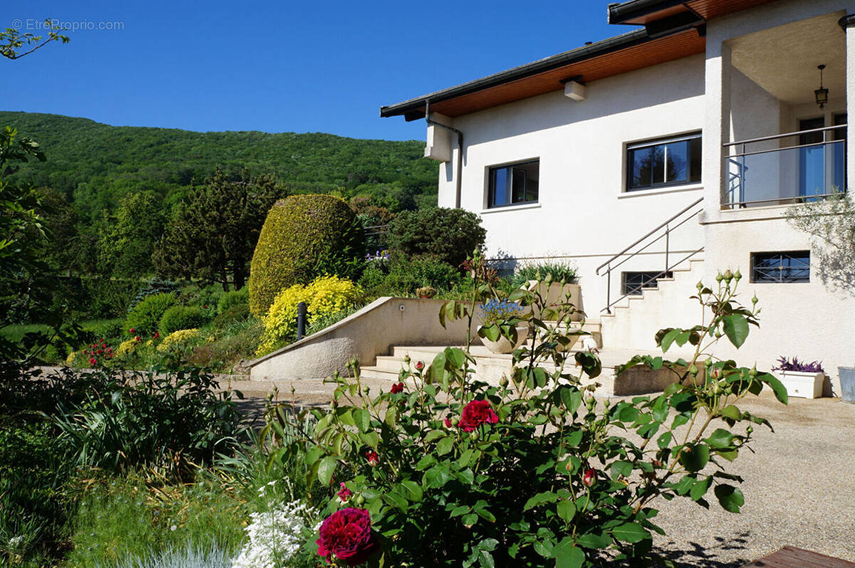 Maison à SAVIGNY