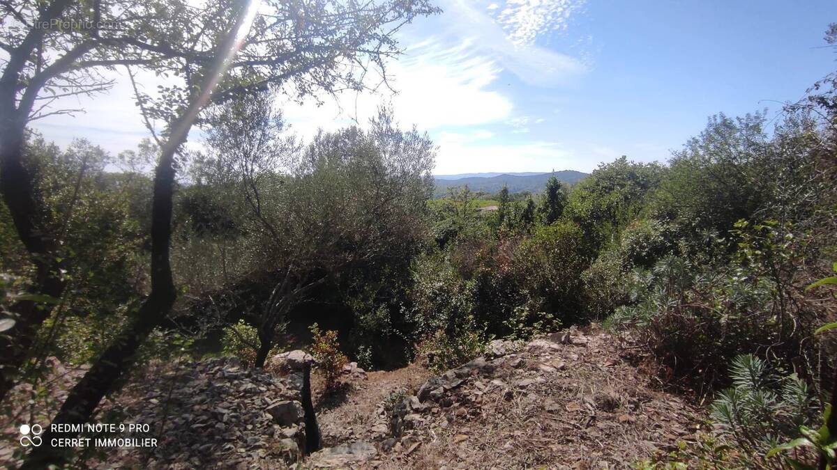 Terrain à MONOBLET