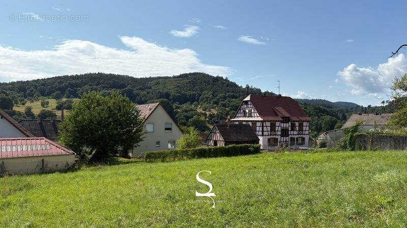 Terrain à LEMBACH
