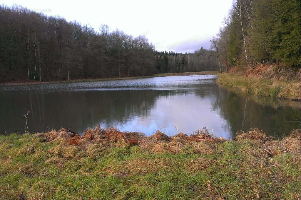 Terrain à MULHOUSE