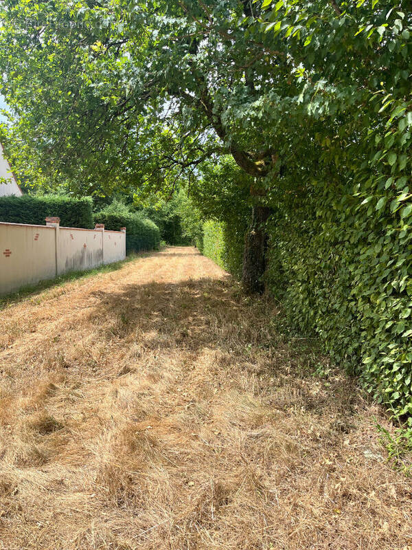 Terrain à VANNES-SUR-COSSON