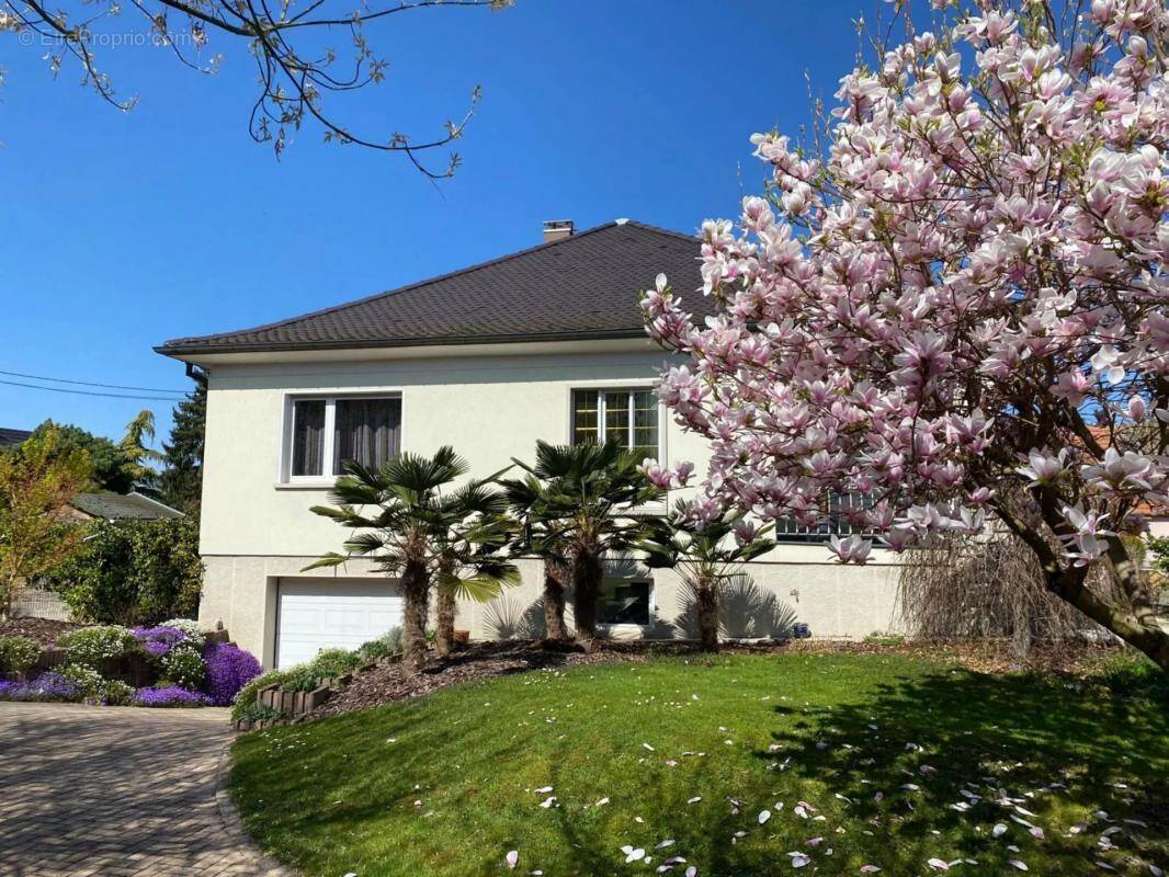 Maison à LA WANTZENAU