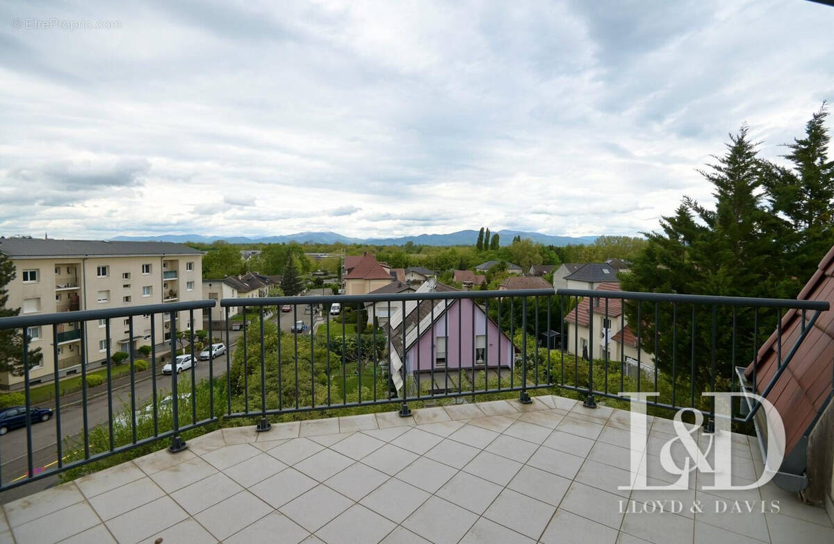terrasse depuis pièce de vie - Appartement à MULHOUSE