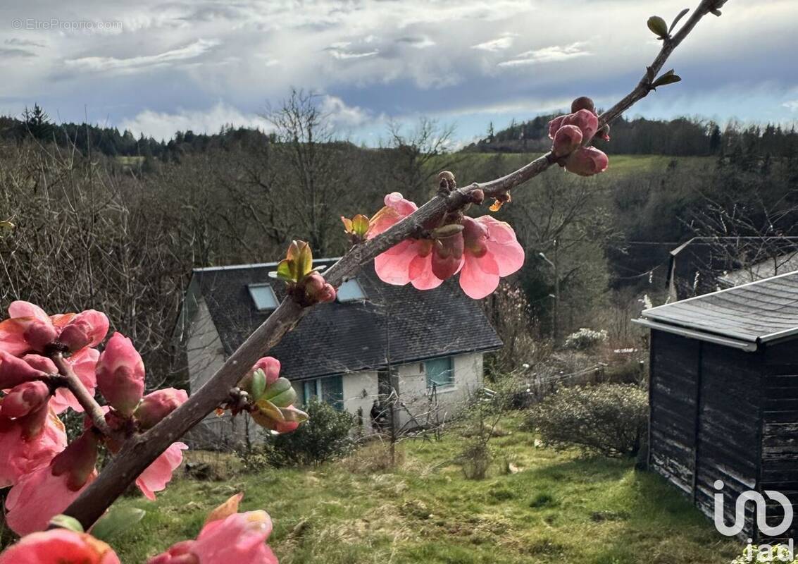 Photo 1 - Maison à CORREZE