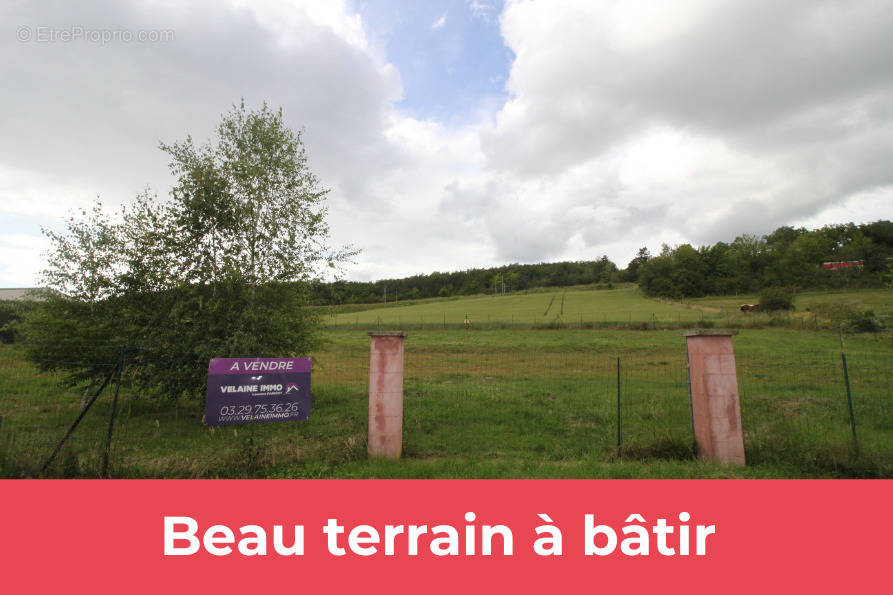 Terrain à LIGNY-EN-BARROIS