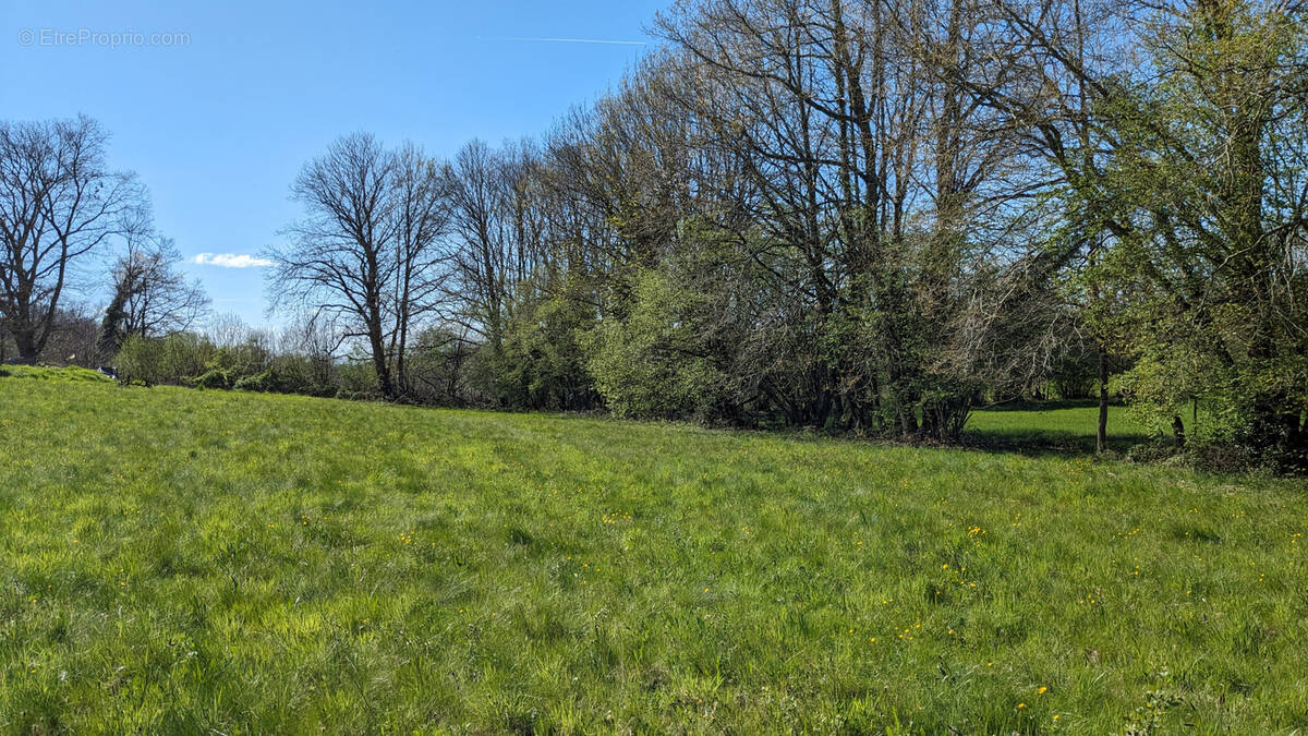Terrain à BEYNAT