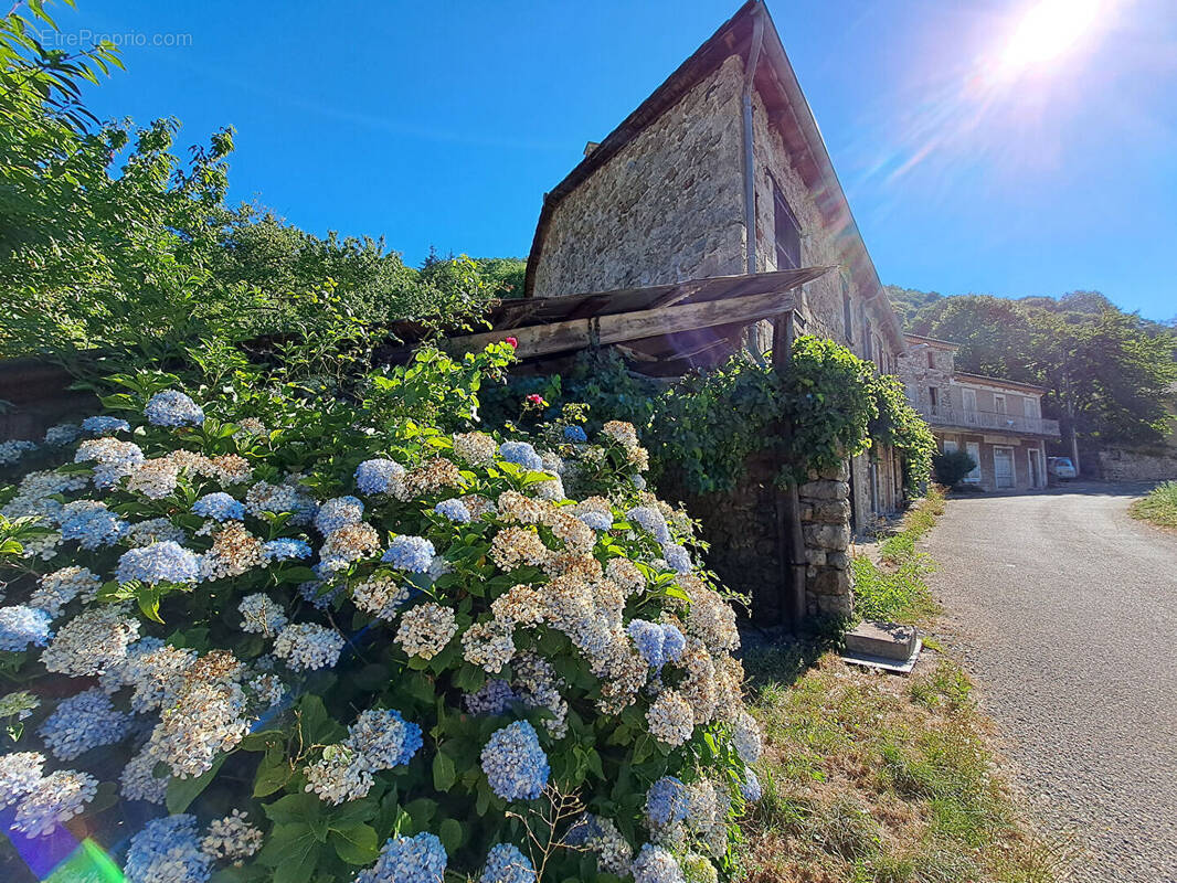 Maison à BURZET