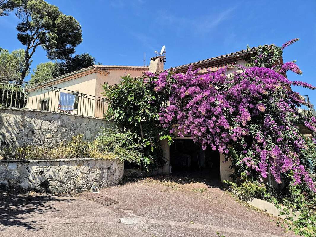 Maison à CANNES