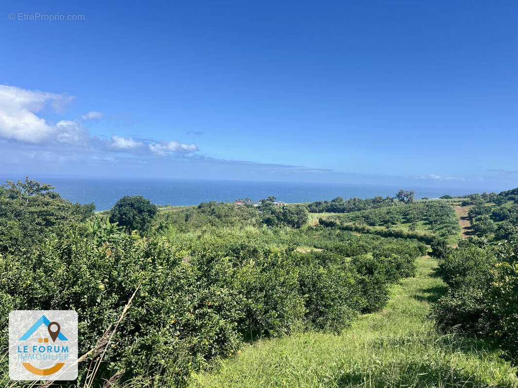 Terrain à PETITE-ILE