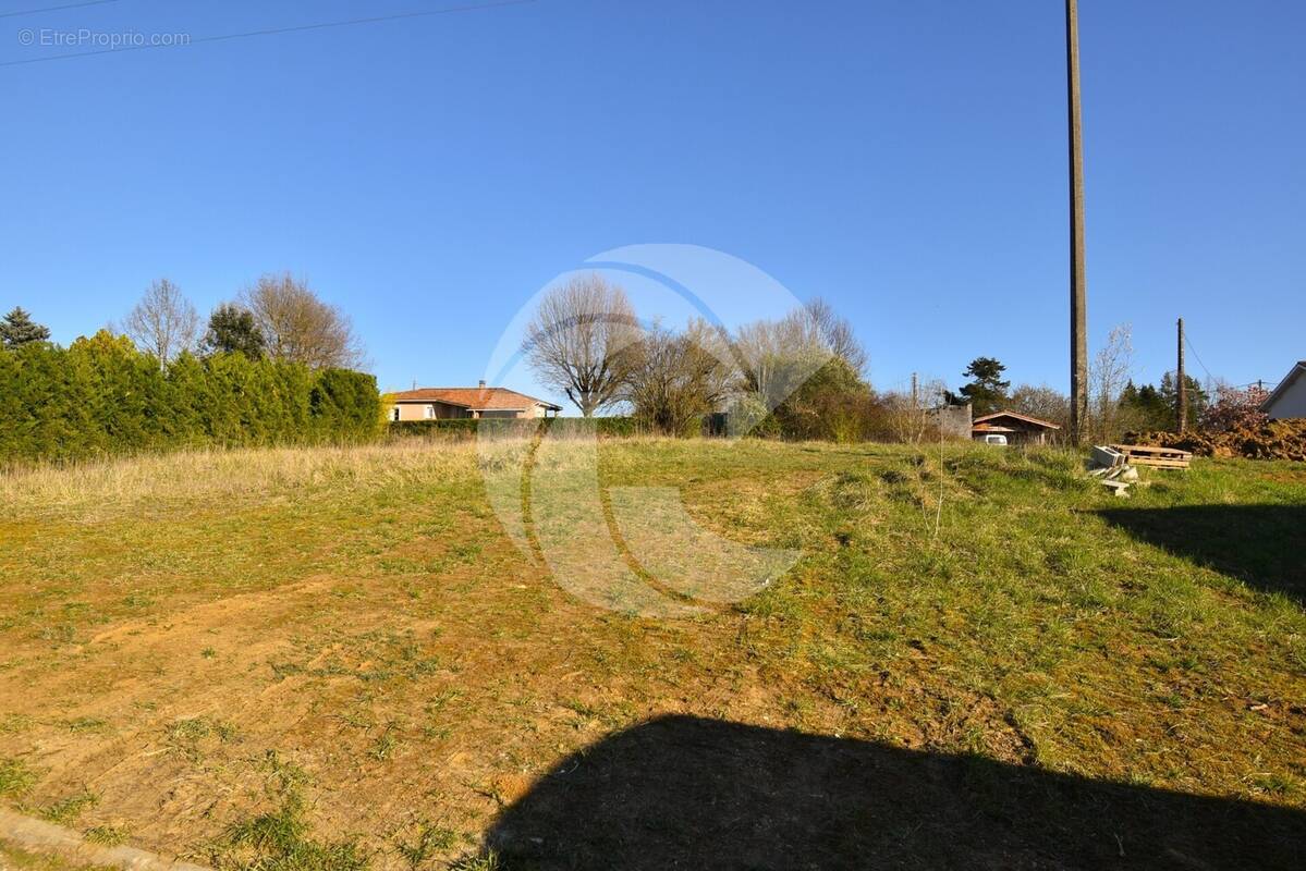 Terrain à REALVILLE