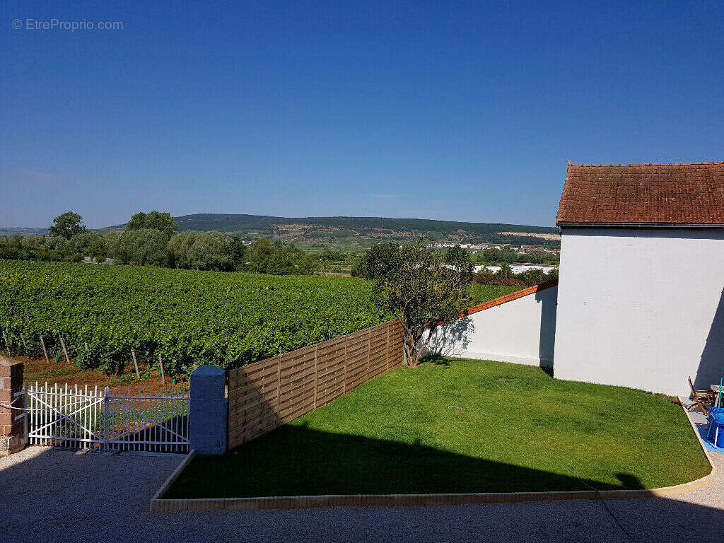 Photo 7 - Maison à CORPEAU