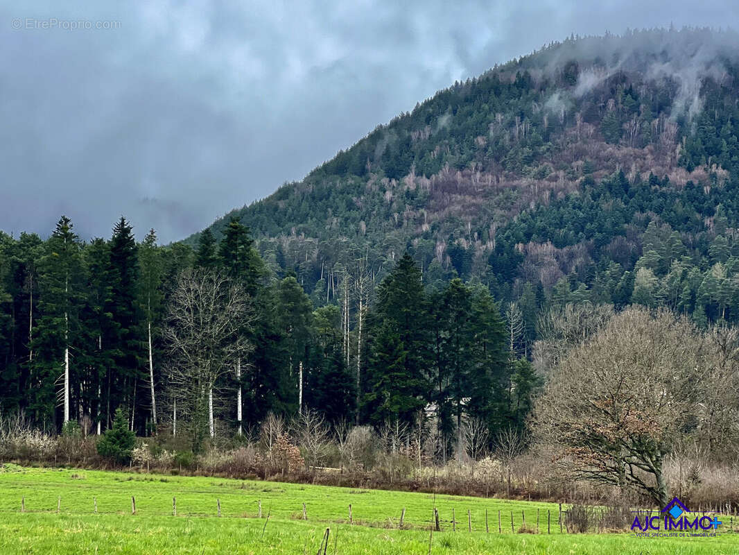 Terrain à SAINT-DIE-DES-VOSGES