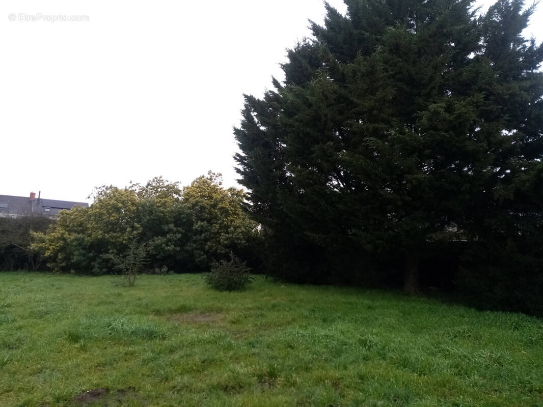 Terrain à MONTJEAN-SUR-LOIRE