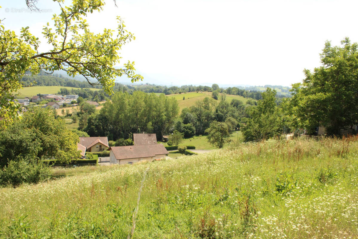 Terrain à QUINTAL