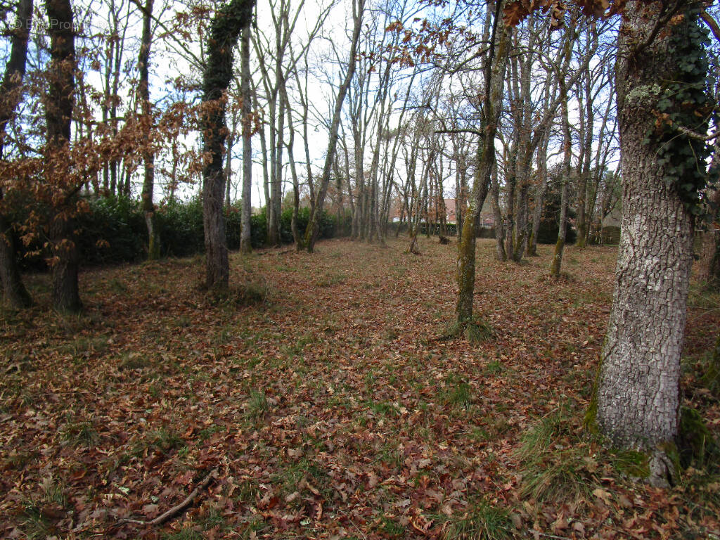 Terrain à SAINT-MARTIAL-D&#039;ARTENSET
