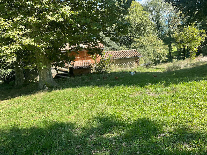 Maison à AIGUEFONDE