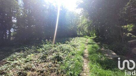 Photo 1 - Terrain à SAACY-SUR-MARNE