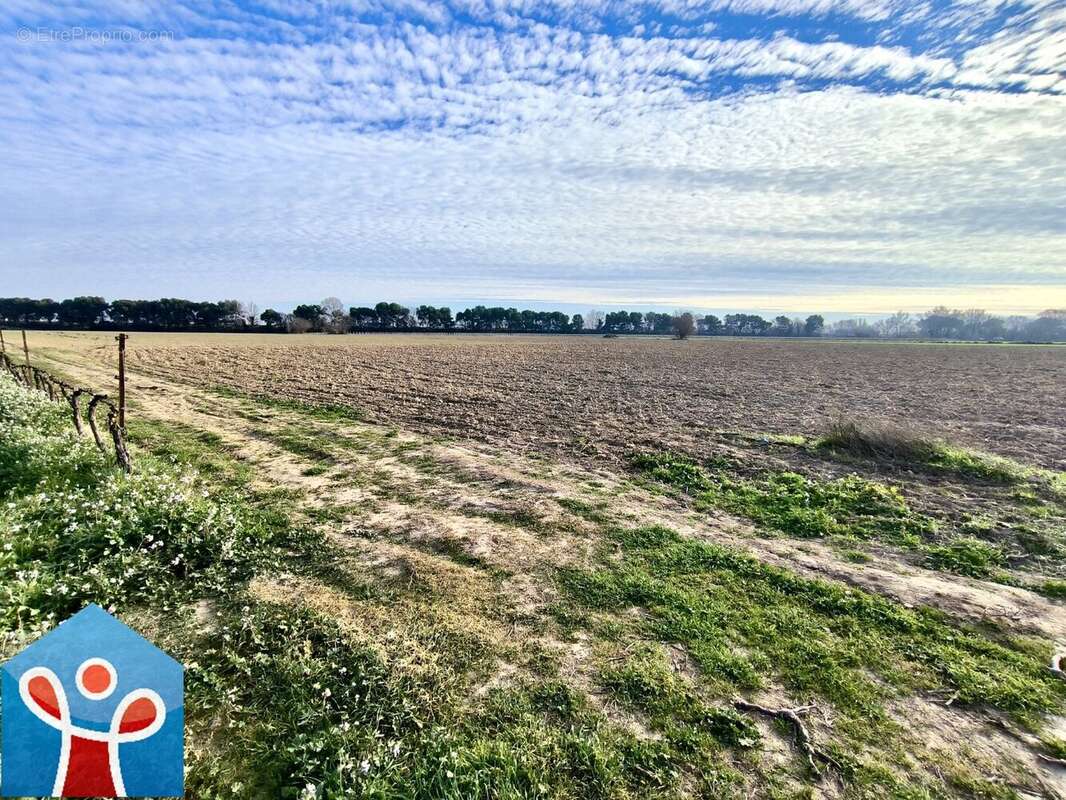 Terrain à VILLENEUVE-LES-BEZIERS