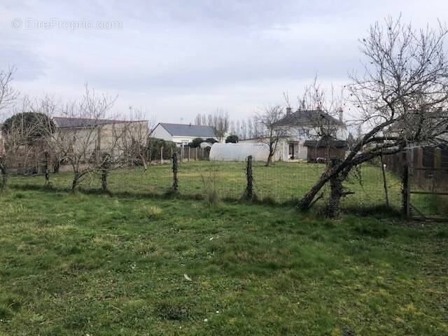 Terrain à LONGUE-JUMELLES
