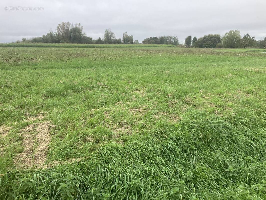 Terrain à MARMANDE