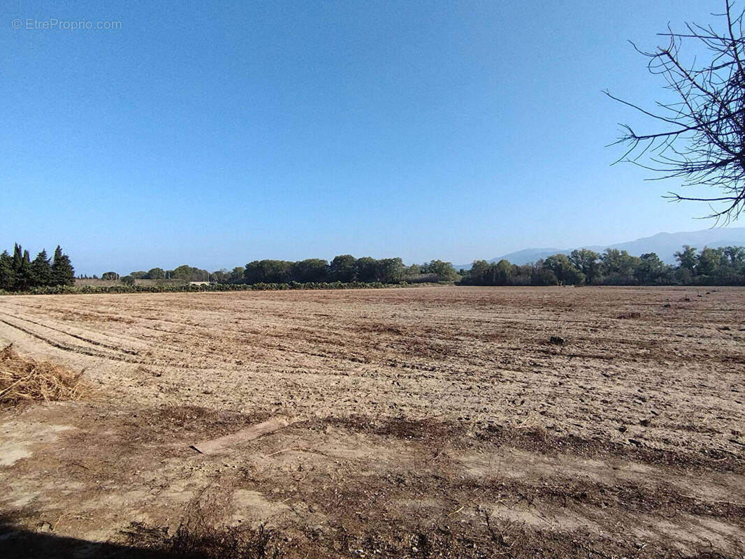 Terrain à ELNE