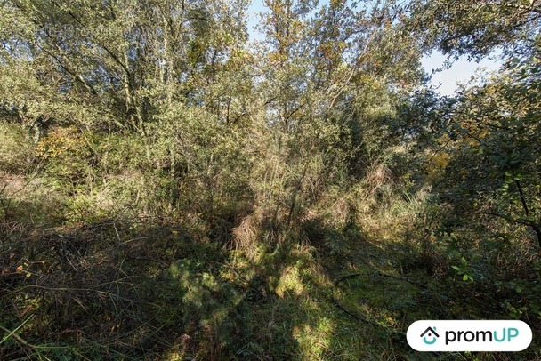 Terrain à LE CANNET-DES-MAURES