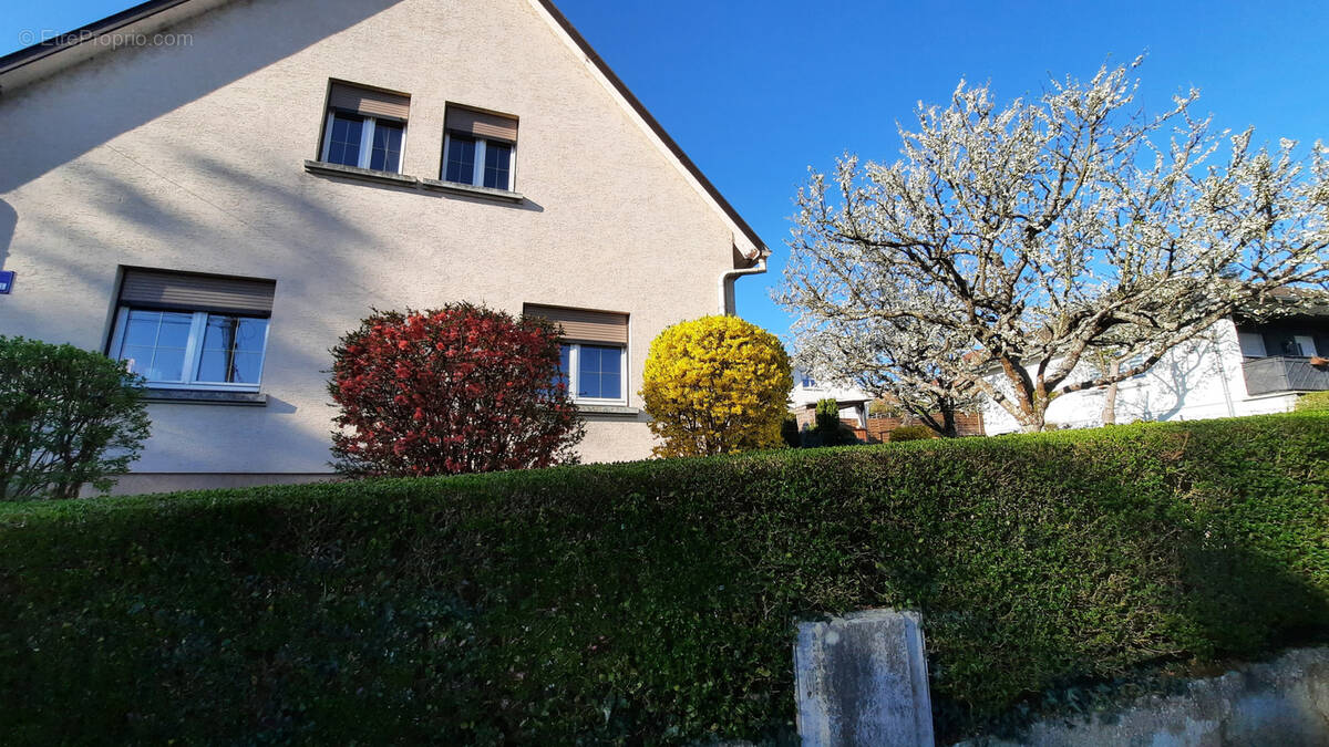 Maison à ALTKIRCH