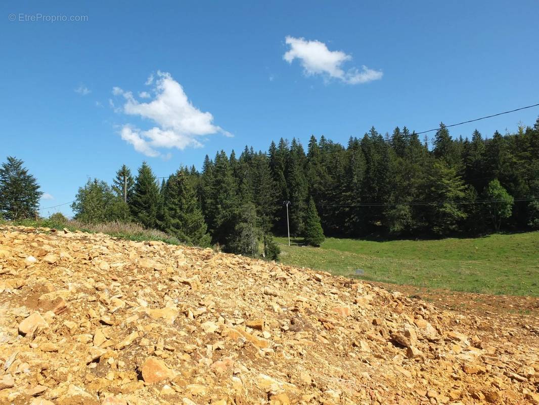 Terrain à PREMANON