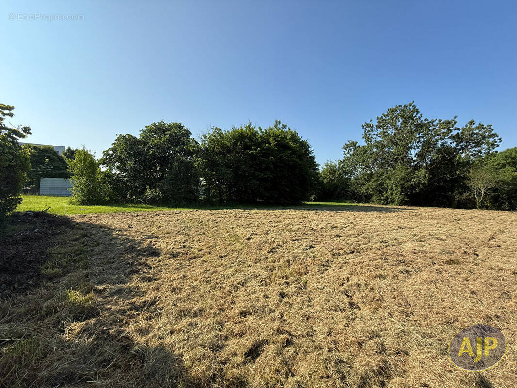 Terrain à SAINTE-PAZANNE