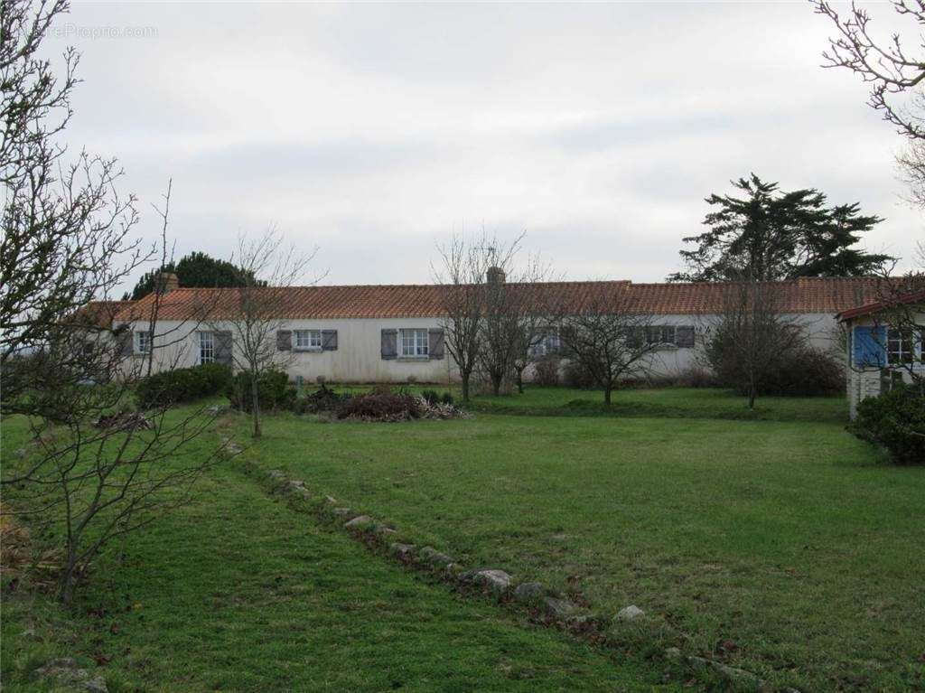 IMG_0171 - Maison à BOUIN