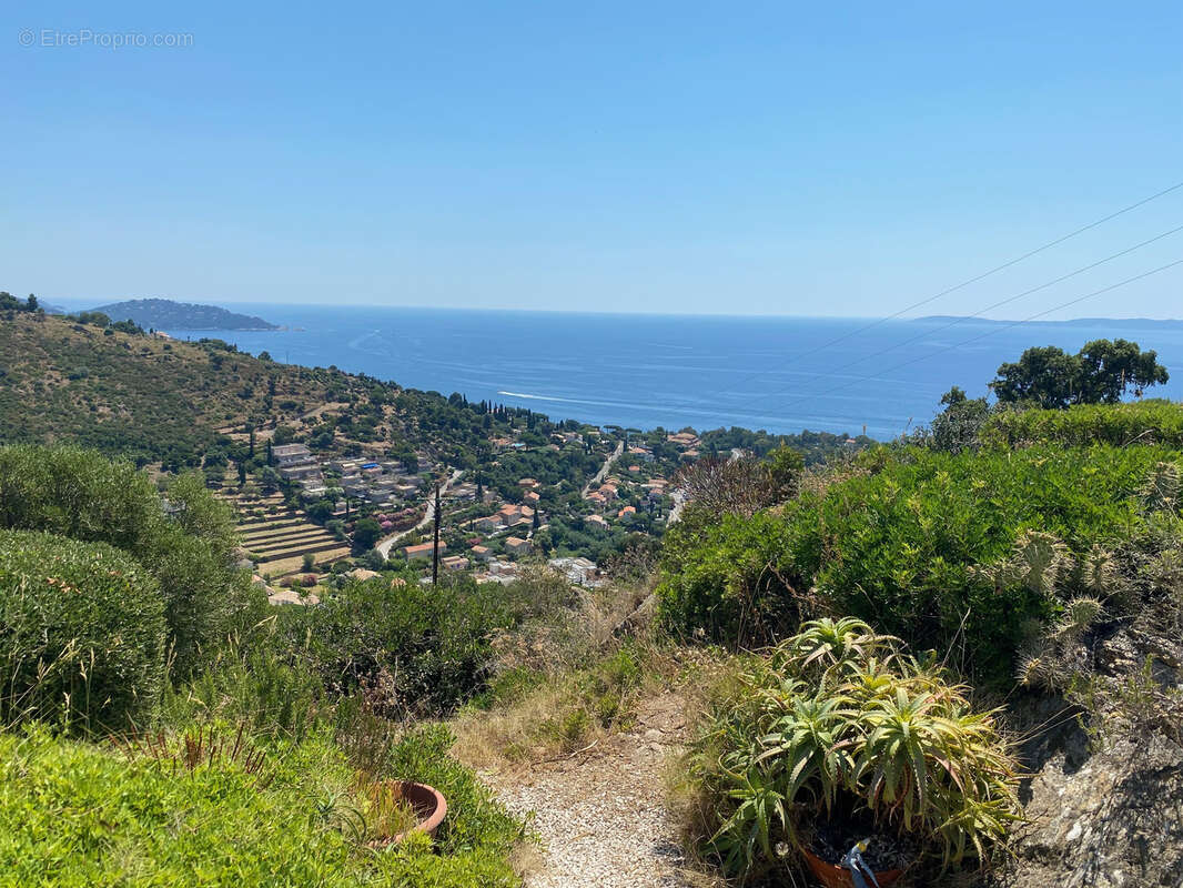 Maison à LE LAVANDOU