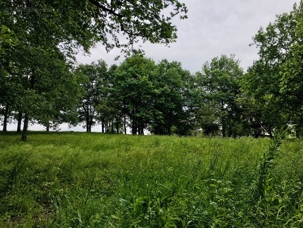 Terrain à POCE-SUR-CISSE